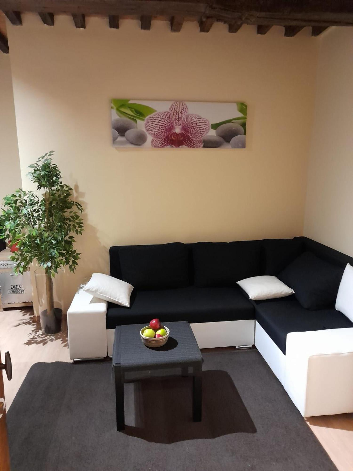 شقة Cute,Cosy,Comfortable Studio In The Heart Of Antwerpen المظهر الخارجي الصورة